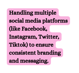 Handling multiple social media platforms like Facebook Instagram Twitter Tiktok to ensure consistent branding and messaging