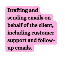 Drafting and sending emails on behalf of the client including customer support and follow up emails