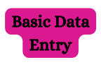 Basic Data Entry