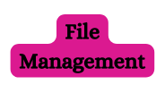 File Management